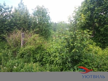 Земля в Станционном-Полевском в Долгопрудном - dolgoprudnyj.yutvil.ru - фото 2 Земля в Станционном-Полевском в Долгопрудном - dolgoprudnyj.yutvil.ru - фото 2