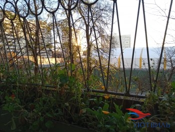 улица Калинина,31 в Долгопрудном - dolgoprudnyj.yutvil.ru - фото 5
