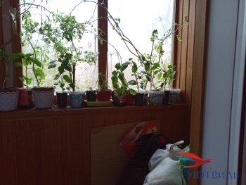 Восстания,58 в Долгопрудном - dolgoprudnyj.yutvil.ru - фото 6 Восстания,58 в Долгопрудном - dolgoprudnyj.yutvil.ru - фото 6