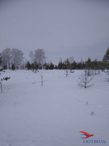 Земельный участок поселок Баженово в Долгопрудном - dolgoprudnyj.yutvil.ru - фото 2 Земельный участок поселок Баженово в Долгопрудном - dolgoprudnyj.yutvil.ru - фото 2