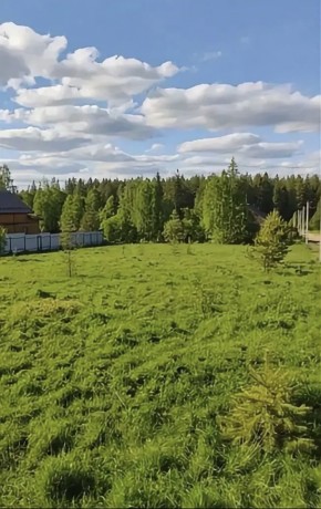 ДП Родной в Долгопрудном - dolgoprudnyj.yutvil.ru - фото 3 ДП Родной в Долгопрудном - dolgoprudnyj.yutvil.ru - фото 3