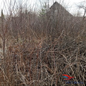 садовый участок в Дуброво-1 в Долгопрудном - dolgoprudnyj.yutvil.ru - фото 3 садовый участок в Дуброво-1 в Долгопрудном - dolgoprudnyj.yutvil.ru - фото 3