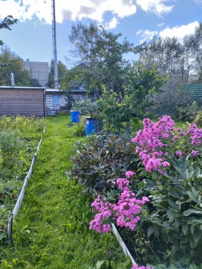 Коллективный сад номер 7, участок 58 в Долгопрудном - dolgoprudnyj.yutvil.ru - фото 23