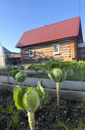 СНТ Дорожник, 97 в Долгопрудном - dolgoprudnyj.yutvil.ru - фото 19
