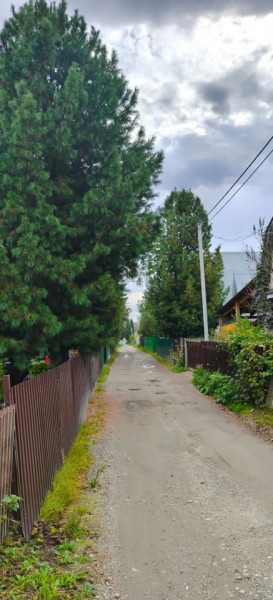 СНТ Машиностроитель, уч.166 в Долгопрудном - dolgoprudnyj.yutvil.ru - фото 22 СНТ Машиностроитель, уч.166 в Долгопрудном - dolgoprudnyj.yutvil.ru - фото 22