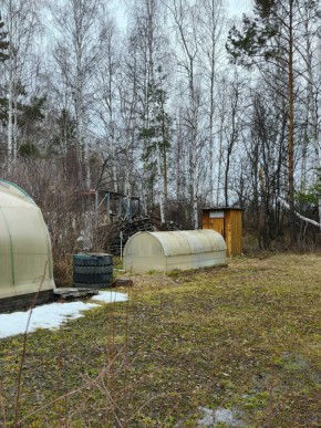 СНТ Родники в Долгопрудном - dolgoprudnyj.yutvil.ru - фото 14 СНТ Родники в Долгопрудном - dolgoprudnyj.yutvil.ru - фото 14