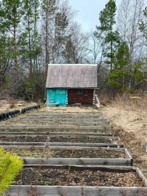 СНТ Родники в Долгопрудном - dolgoprudnyj.yutvil.ru - фото 7 СНТ Родники в Долгопрудном - dolgoprudnyj.yutvil.ru - фото 7