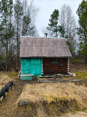 СНТ Родники в Долгопрудном - dolgoprudnyj.yutvil.ru - фото 8 СНТ Родники в Долгопрудном - dolgoprudnyj.yutvil.ru - фото 8