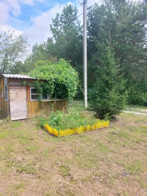 СНТ Родники в Долгопрудном - dolgoprudnyj.yutvil.ru - фото 2