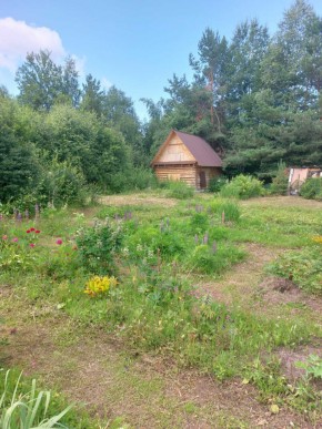 СНТ Родники в Долгопрудном - dolgoprudnyj.yutvil.ru - фото 3