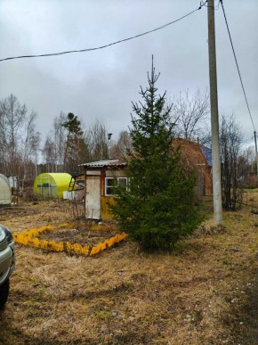 СНТ Родники в Долгопрудном - dolgoprudnyj.yutvil.ru - фото 5