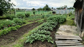 ул. 8-е Марта,46 в Долгопрудном - dolgoprudnyj.yutvil.ru - фото 8 ул. 8-е Марта,46 в Долгопрудном - dolgoprudnyj.yutvil.ru - фото 8