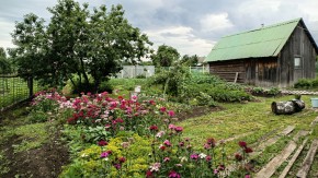 ул. 8-е Марта,46 в Долгопрудном - dolgoprudnyj.yutvil.ru - фото 10 ул. 8-е Марта,46 в Долгопрудном - dolgoprudnyj.yutvil.ru - фото 10