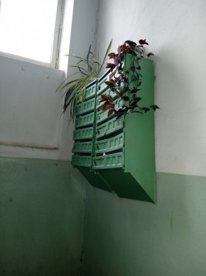 ул. Бажова,11 в Долгопрудном - dolgoprudnyj.yutvil.ru - фото 2