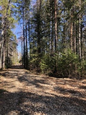 ул. Калиновая,9 в Долгопрудном - dolgoprudnyj.yutvil.ru - фото 2