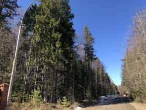 ул. Калиновая,9 в Долгопрудном - dolgoprudnyj.yutvil.ru - фото 4